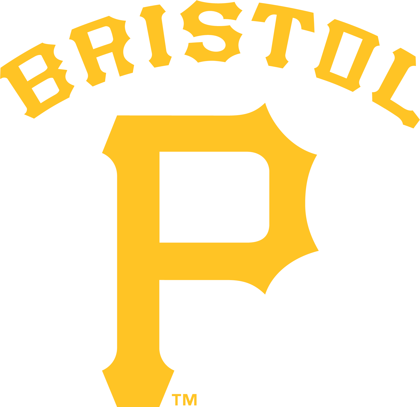 Bristol Pirates 2014-Pres Primary Logo iron on transfers for clothing